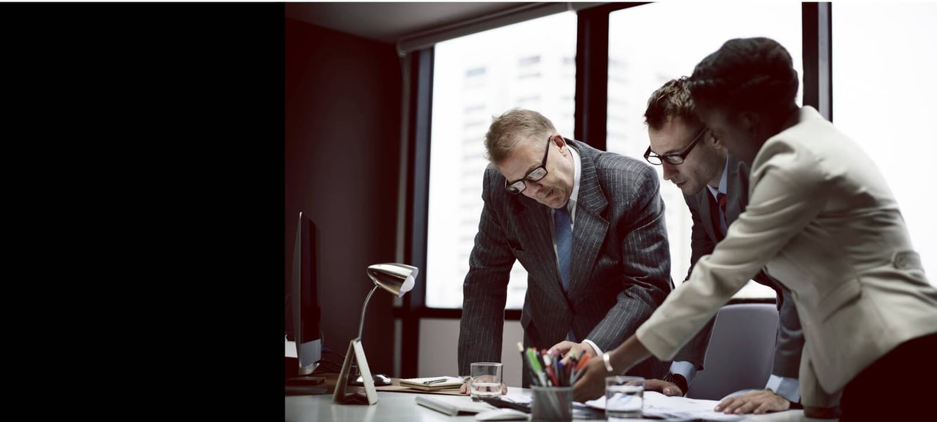 Executives working