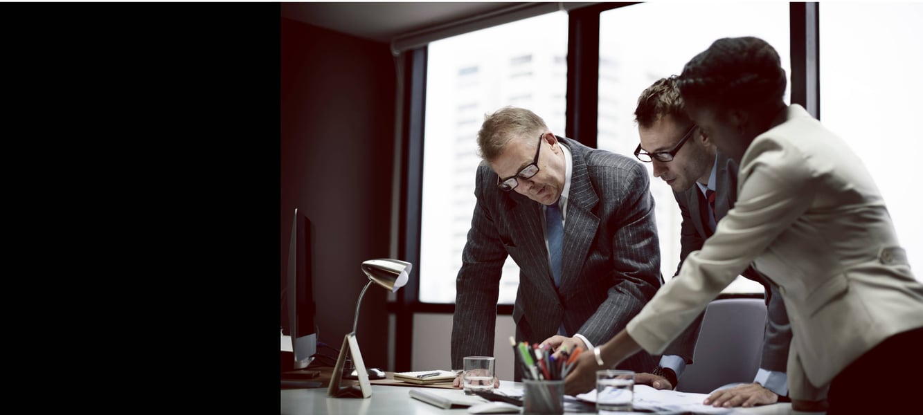 Executives working